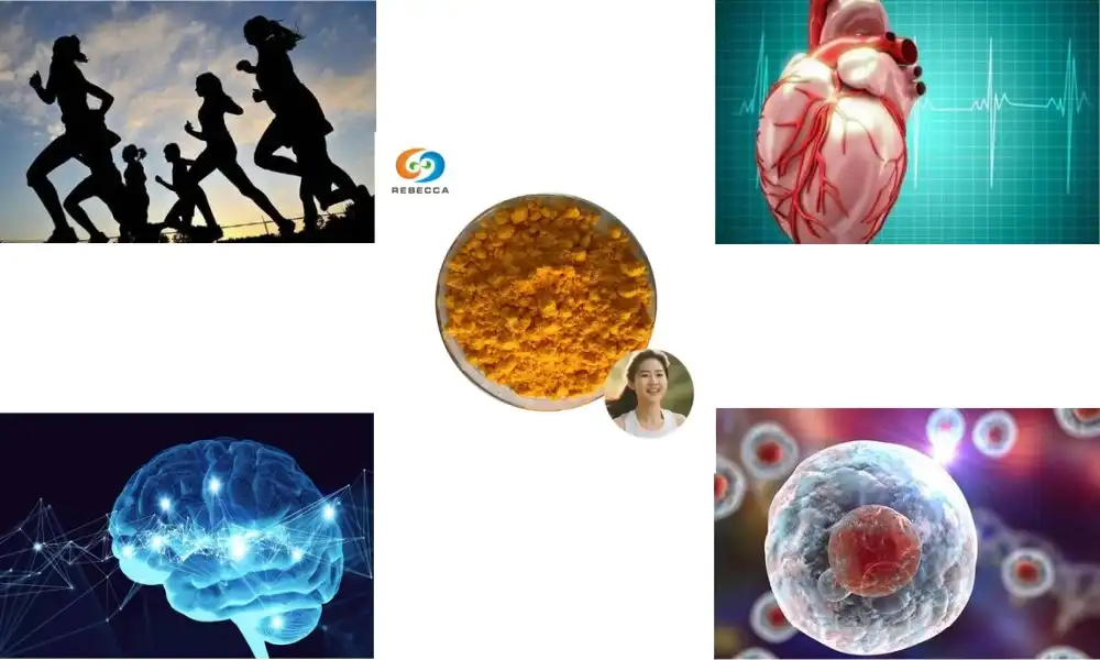 Water Soluble CoQ10 for Healthy Aging and Vitality